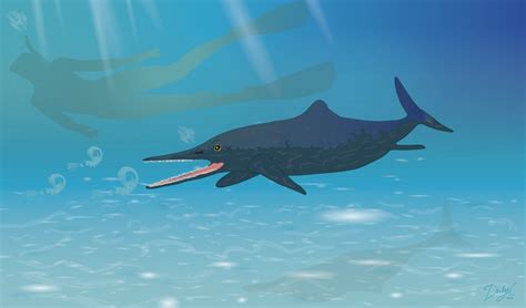 New species of Ichthyosaur discovered in museum collection