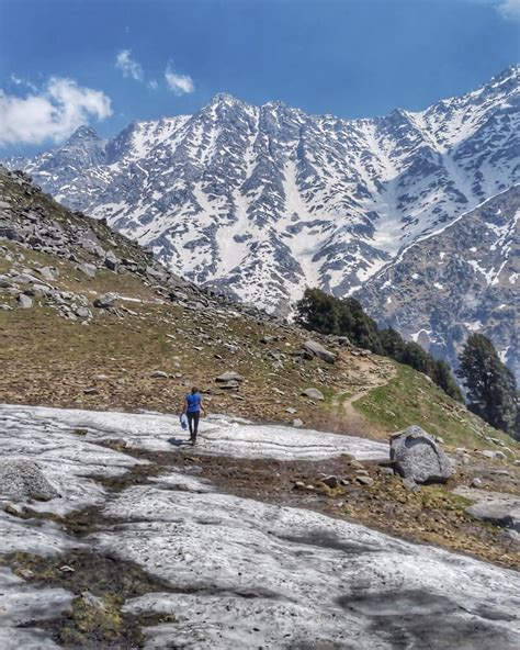 Hiking in Dharamshala – Under the Rhododendrons and Into the Icy Summits | On My Canvas