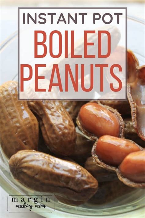 How to Make Instant Pot Boiled Peanuts - Margin Making Mom