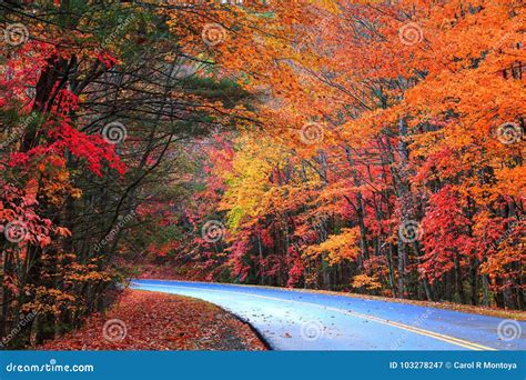 Blue Ridge Parkway Fall stock image. Image of mountains - 103278247