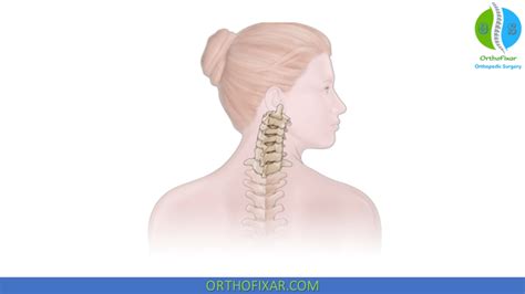 Cervical Spine Range Of Motion | OrthoFixar 2024