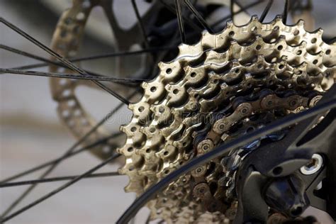 Bicycle gears stock image. Image of clean, macro, background - 17204849