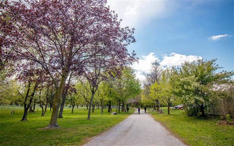 Where to Go Hiking in Niagara Falls: 7 Trails to Check Out in the City » I've Been Bit! Travel Blog