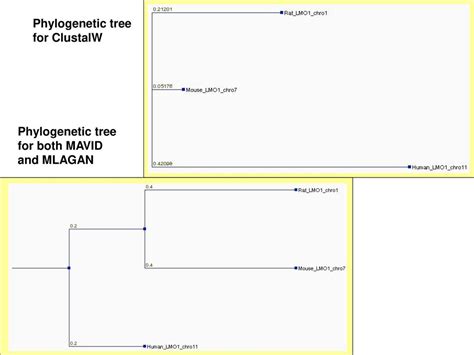 LMO ppt download