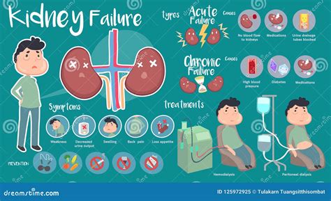 Kidney Failure Infographic Symptoms Causes Prevention And Treatment Idea Of Medical Stock ...