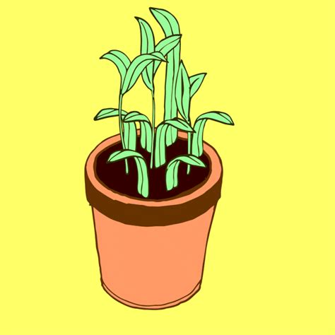 Potted Plant GIFs - Get the best GIF on GIPHY