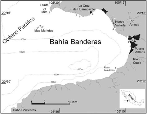 Study area and sampling stations in Banderas Bay (May to November 2013 ...