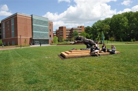 Towson University - Profile, Rankings and Data | US News Best Colleges