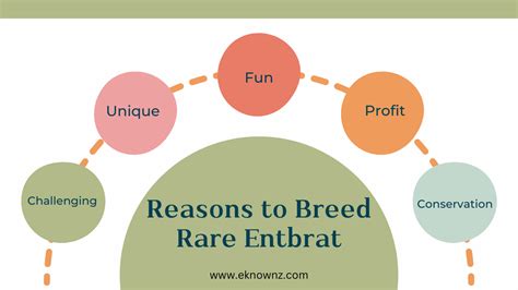 How to Breed Rare Entbrat