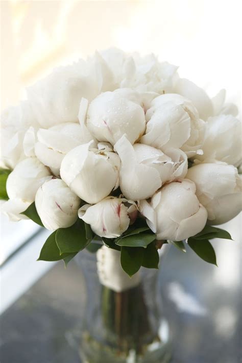 White Peonies in Miami Beach, FL | Miami Beach Flowers®