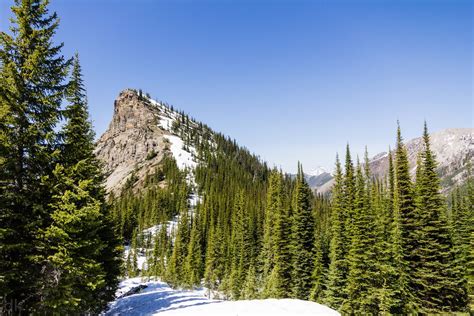 6 Day Hikes in Fernie, BC | Day hike, Fernie, Hiking