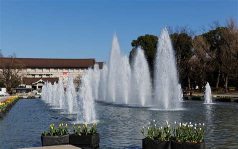 Ueno Park (Tokyo) | Travel Japan - Japan National Tourism Organization (Official Site)