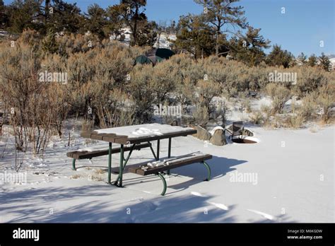 Mammoth Hot Springs Campground. Mammoth Hot Springs campground winter ...