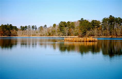 MARION LAKE, SOUTH CAROLINA by Photography-by-Image on DeviantArt