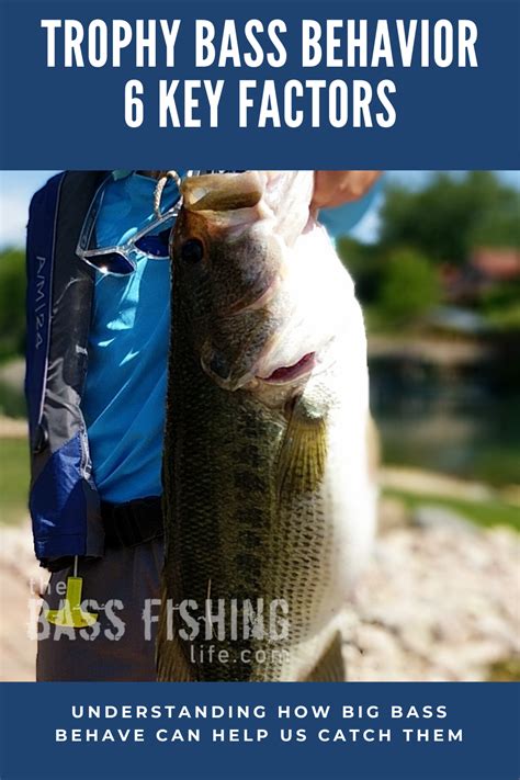 Mastering Trophy Bass Fishing: 6 Essential Tips