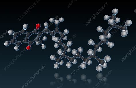 Vitamin K1, Molecular Model, illustration - Stock Image - F031/7614 ...