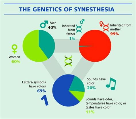 Synesthesia – The Print