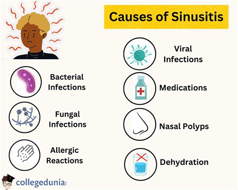 Sinusitis Causes Types Of Sinusitis Diagnosis Treatme - vrogue.co