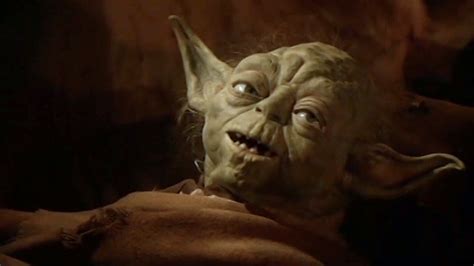 Theoretically, Yoda Wasn't Even 30 When He Died