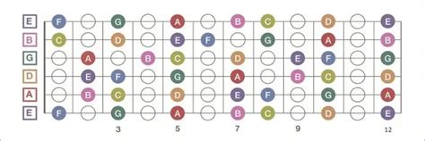 Guitar Neck Diagram – Basic Information and Navigation