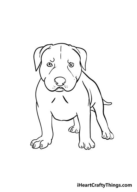 How To Draw Pit Bulls - Killexhibition Doralutz