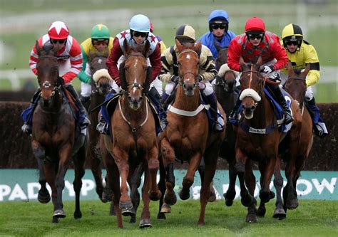 Top 999+ Horse Racing Wallpaper Full HD, 4K Free to Use