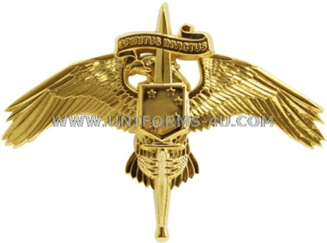 USMC MARINE CORPS FORCES SPECIAL OPERATIONS COMMAND INSIGNIA