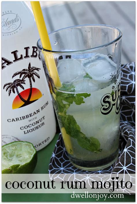 coconut mojito recipe malibu - Lead Bloggers Ajax