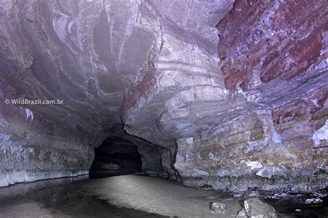 Chapada dos Guimarães National Park Nature Tour | Wild Brazil