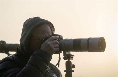 How to Choose the Best Wildlife Photography Gear