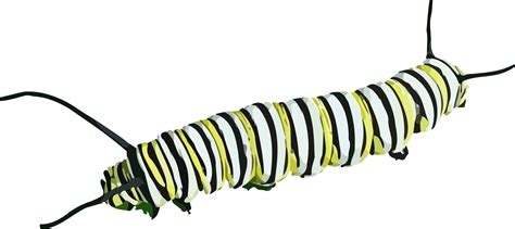 The Very Hungry Caterpillar Clip art - caterpillar png download - 1597* ...