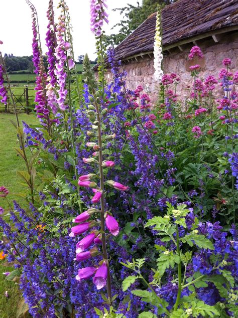 English country garden... | Cottage garden design, English cottage garden, Garden inspiration