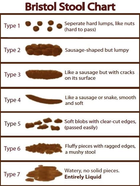 Evaluating 5 Qualities Of Poop To Determine Your Health and Diet