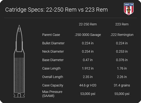 22-250 vs 223: Hunting Caliber Comparison by Ammo.com