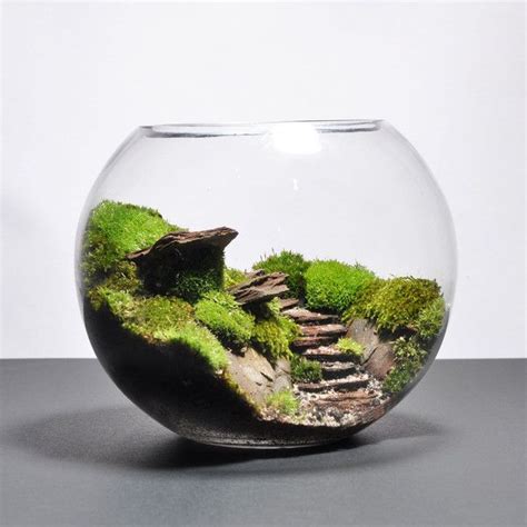 Biosphere Terrarium : Steps | Mini garden, Terrarium scene, Miniature ...