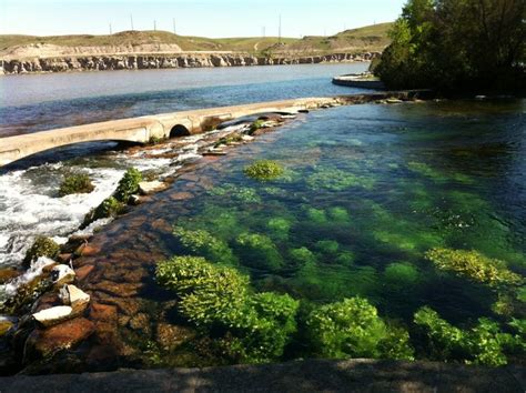 Giant Springs State Park | State parks, Great falls montana, Spring park