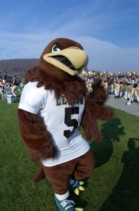 PHOTOS All 65 college mascots from the 2010 NCAA mens basketball ...