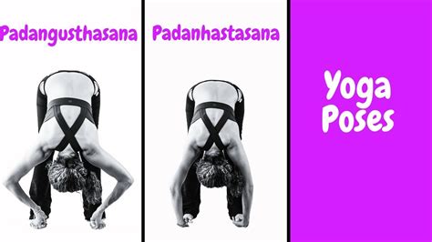 Padangusthasana-Padanhastasana Yoga Poses - YouTube