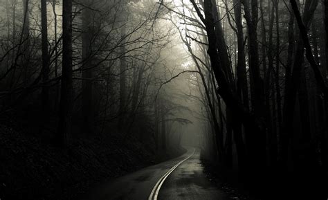 Dark Road Forest, black tree #Aero #Black #Dark #Forest #Road #1080P #wallpaper #hdwallpaper # ...