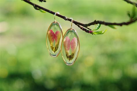 Winged Seeds Samaras Sycamore Maple Seeds Oval Shape - Etsy