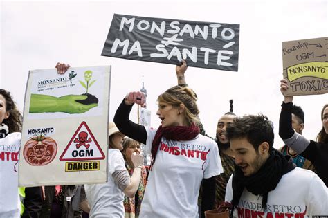 In Europe, Monsanto Backing Away From GMO Crops | HuffPost