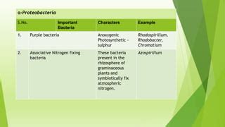 Classification of Bacteria microbiology | PPT