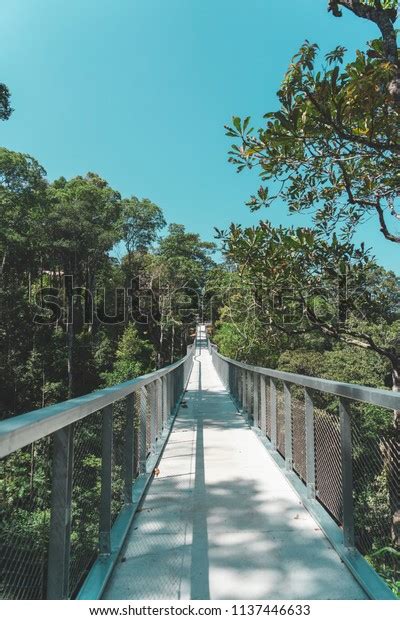 551 The Habitat Penang Hill Stock Photos, Images & Photography | Shutterstock