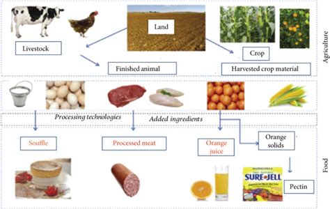 Agricultural food supply chain process. | Download Scientific Diagram