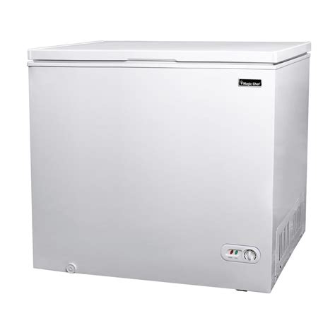 Chest Freezer - Do you need one? > Save Yourself Academy