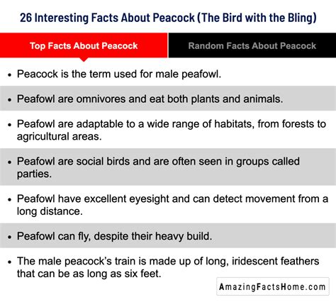 Top Facts About Peacock