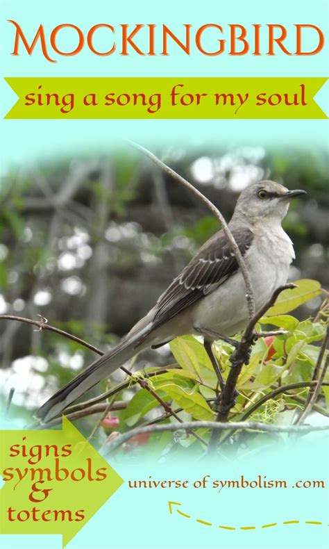 Mockingbird Symbolism - Mockingbird Signs, Symbols & Totems