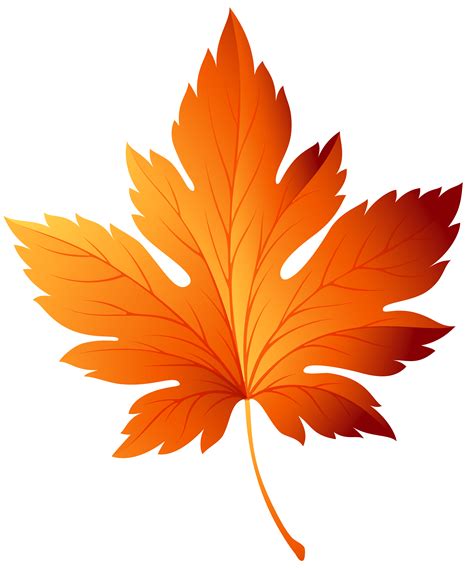 Autumn leaf color Clip art - autumn leaves png download - 5839*7000 ...