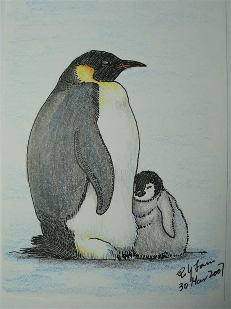 Emperor Penguin color pencil drawing | poyee_lam0321 | Flickr