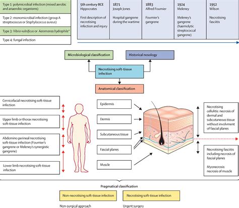 Necrotising soft-tissue infections - The Lancet Infectious Diseases